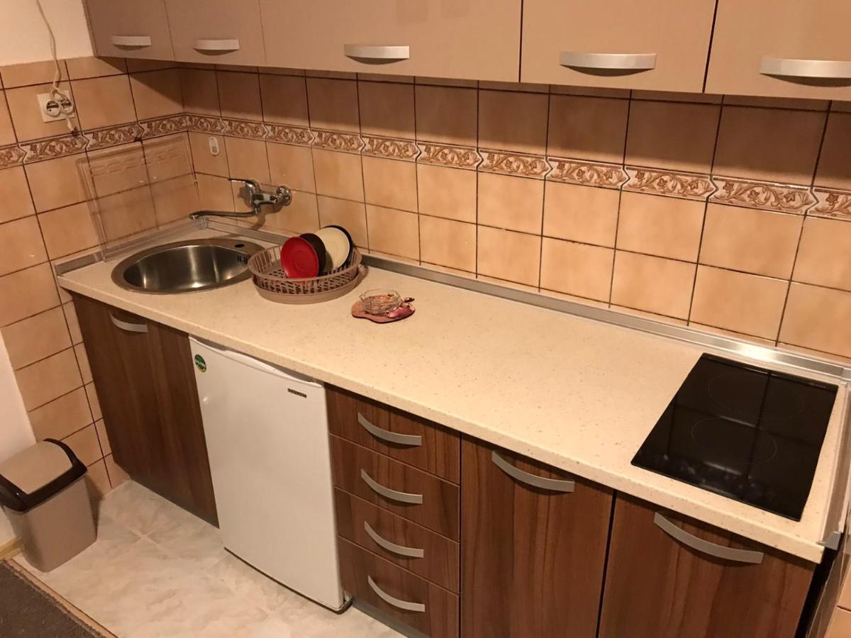 Apartman Samardzic วิเชกราด ภายนอก รูปภาพ