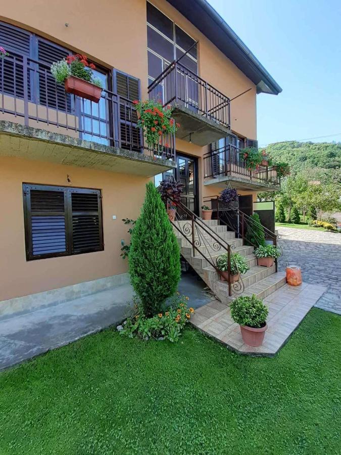 Apartman Samardzic วิเชกราด ภายนอก รูปภาพ